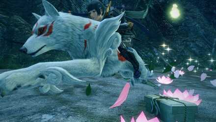 太陽は昇る！？の開催日