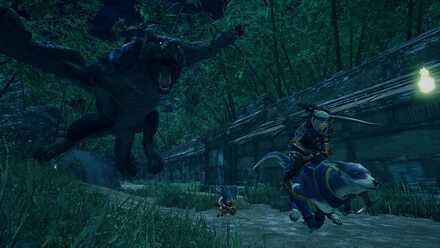 影の迅竜の開催日