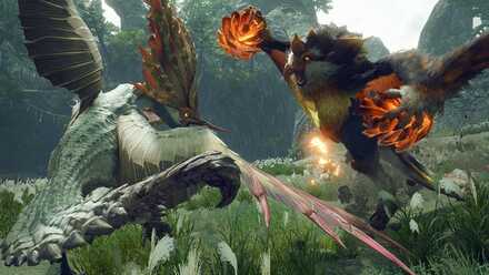 狡猾なる緋色、妖美な番傘の開催日