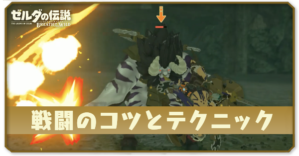 戦闘のコツとテクニック