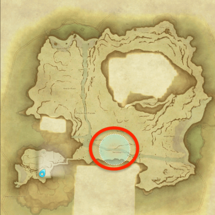 無人島のつるの画像