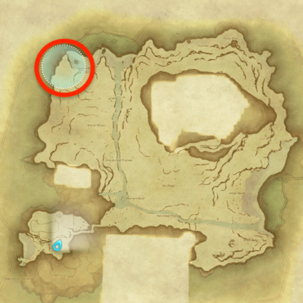 無人島の草葉の画像