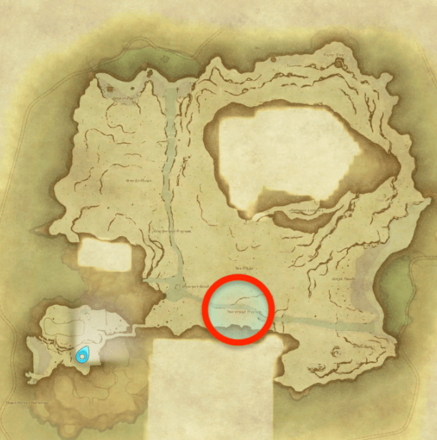 無人島の小枝の画像