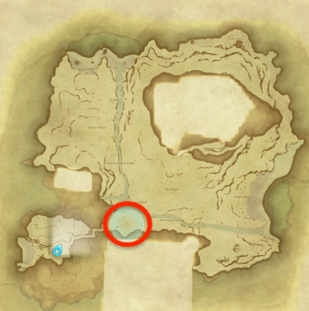 アイルパンプキンの種の画像