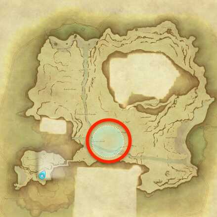 無人島の樹液の採集場所画像