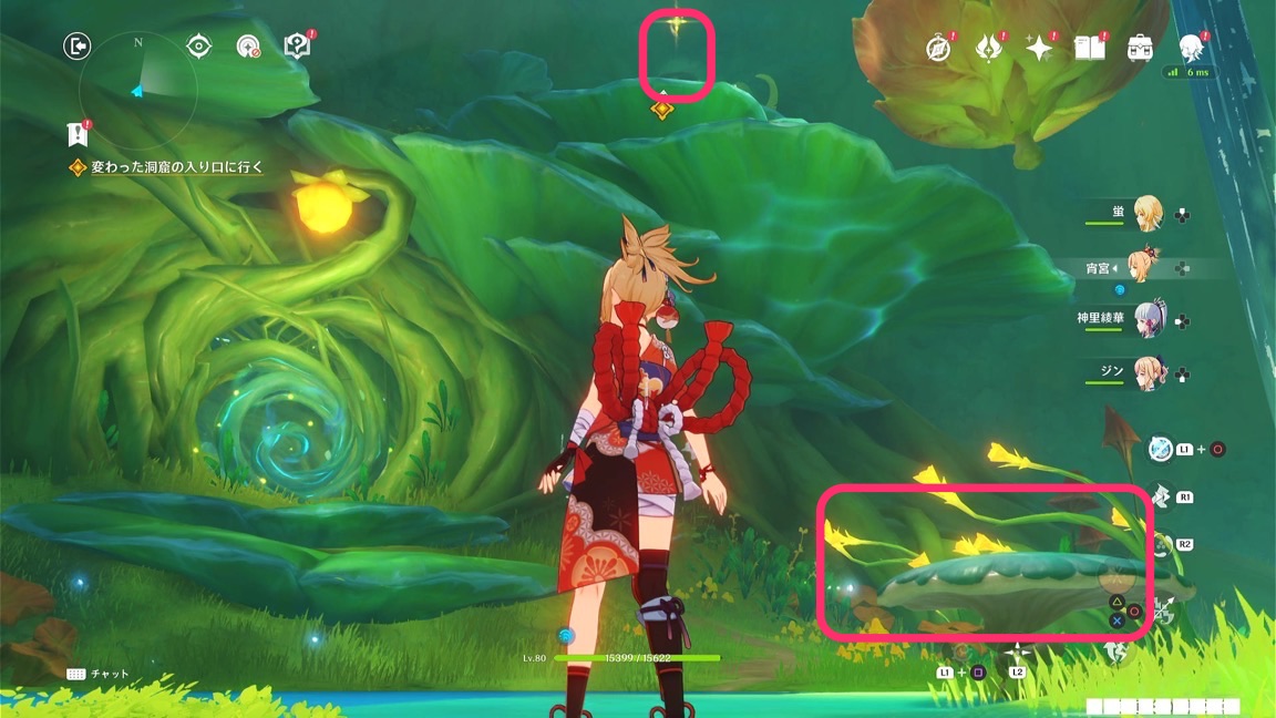 変わった洞窟の入り口