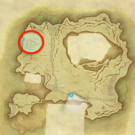 アイルパースニップの種の画像