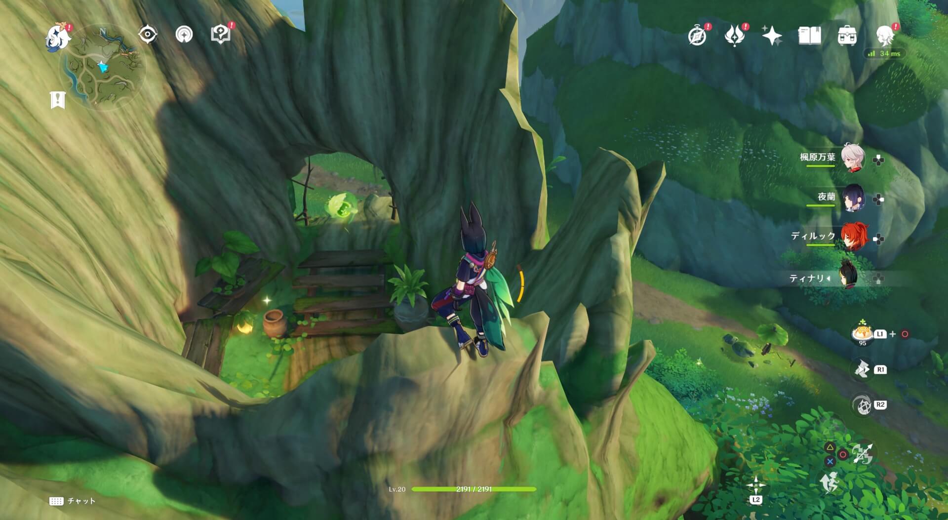 折れた大木の中