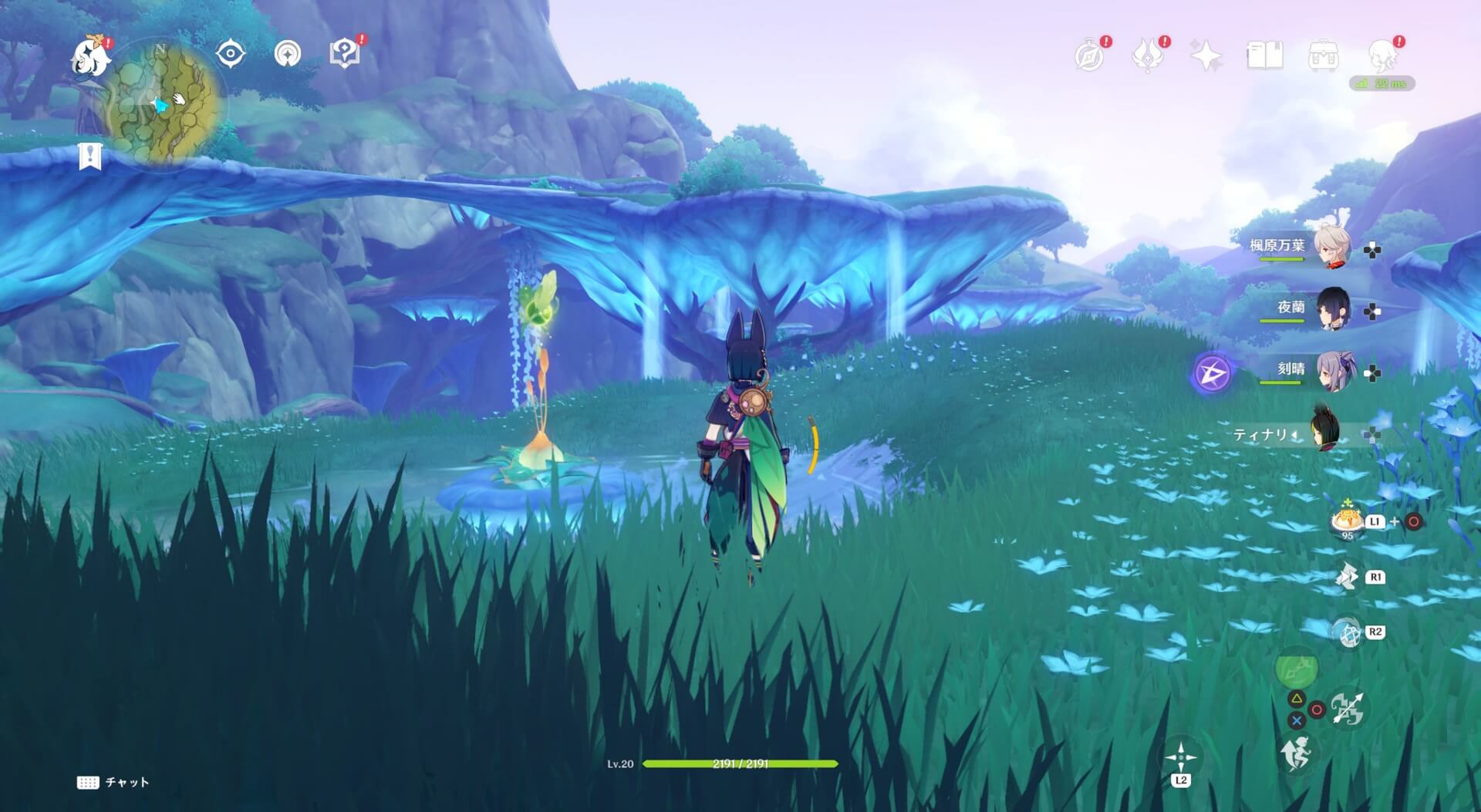 リーフコアの上