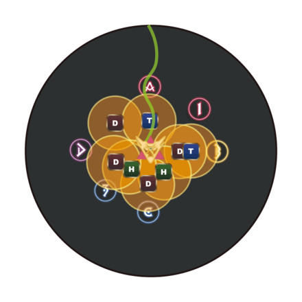 ヘアレイド外周散開1