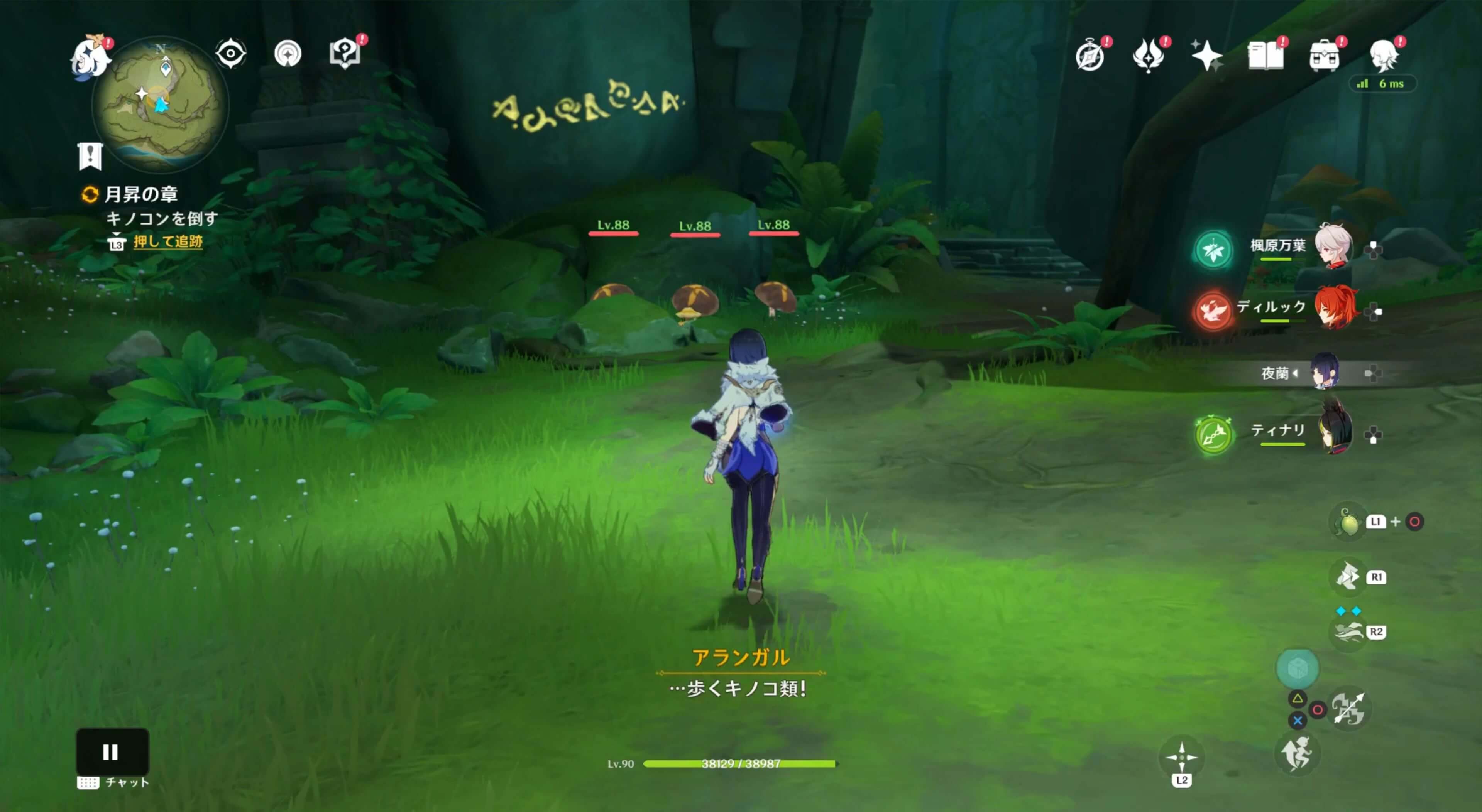 符文を確認する