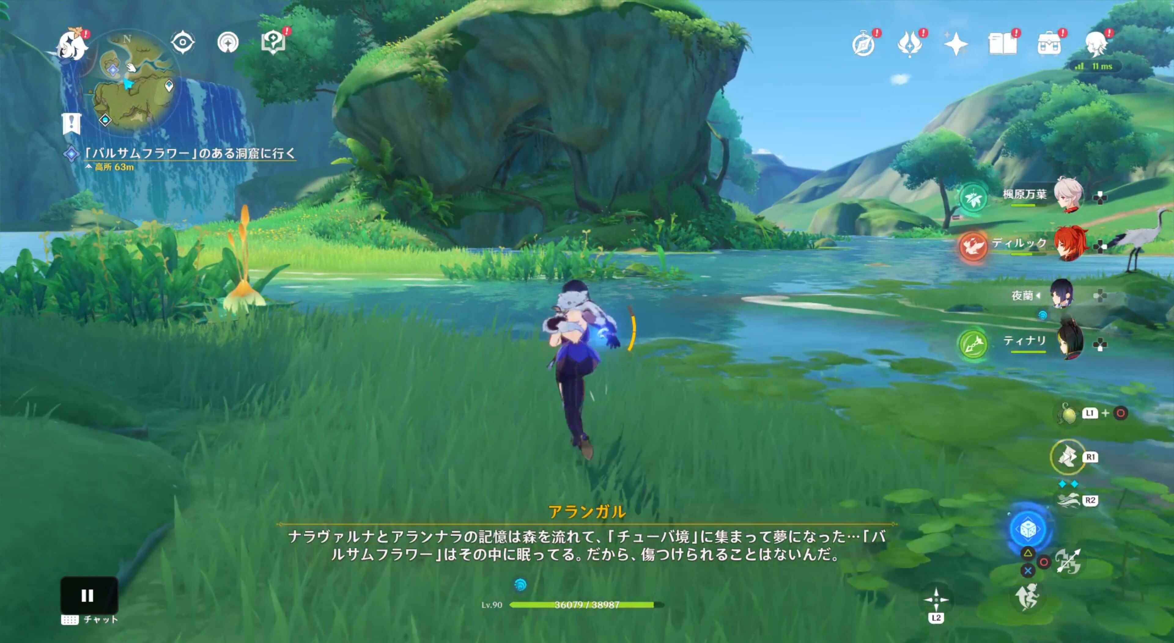 バルサムフラワーの洞窟へ向かう