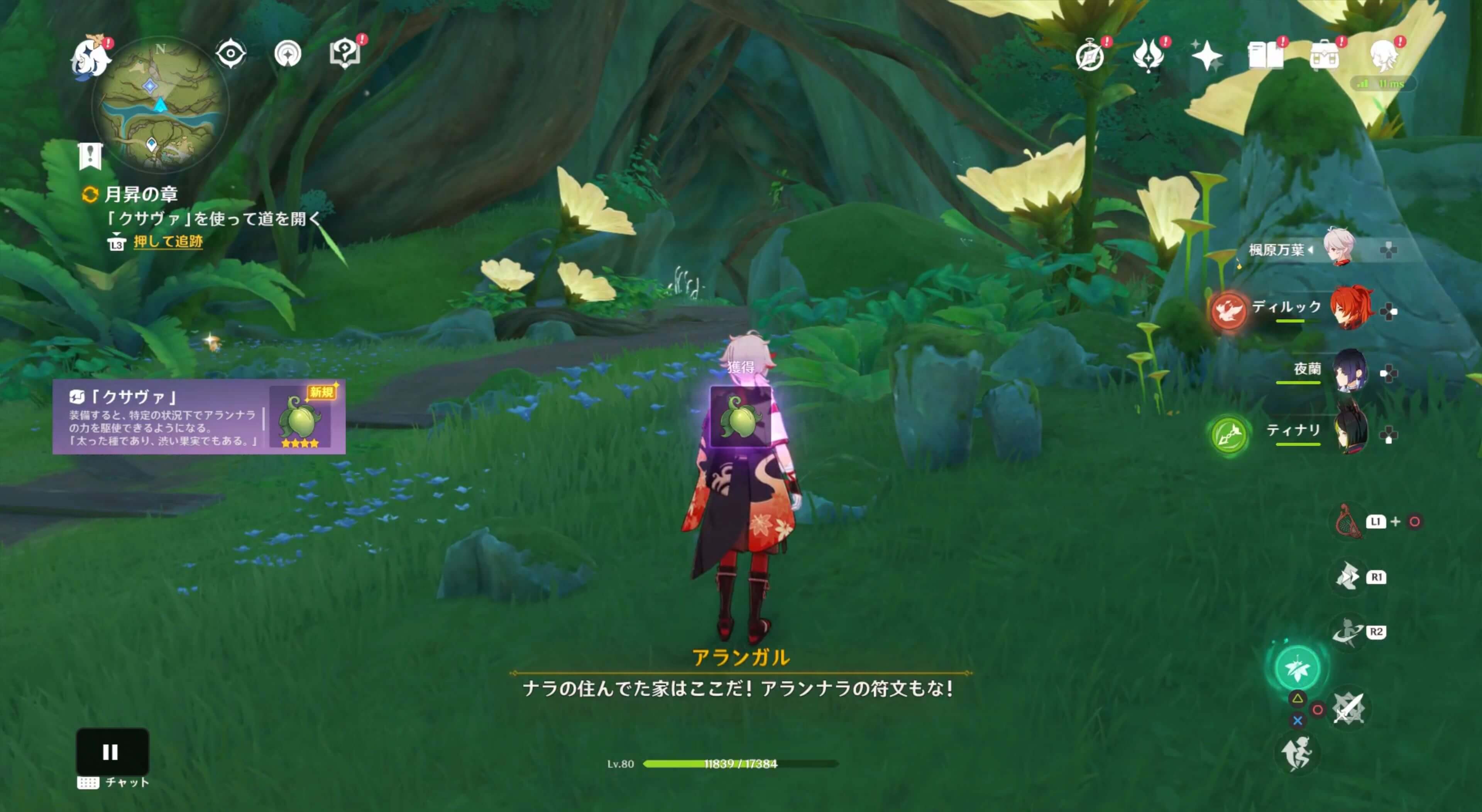 「クサヴァ」を入手