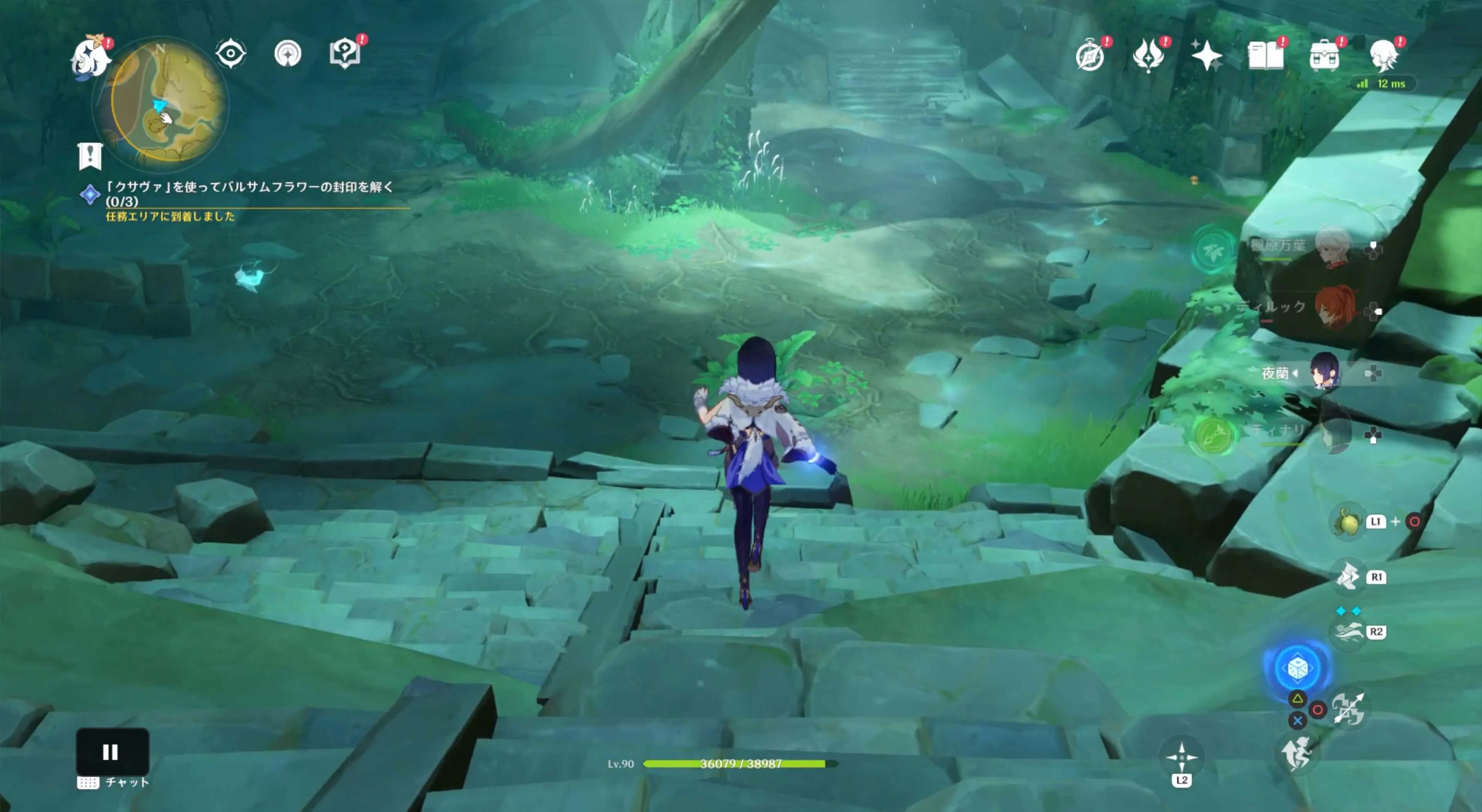 仙霊を追いかける