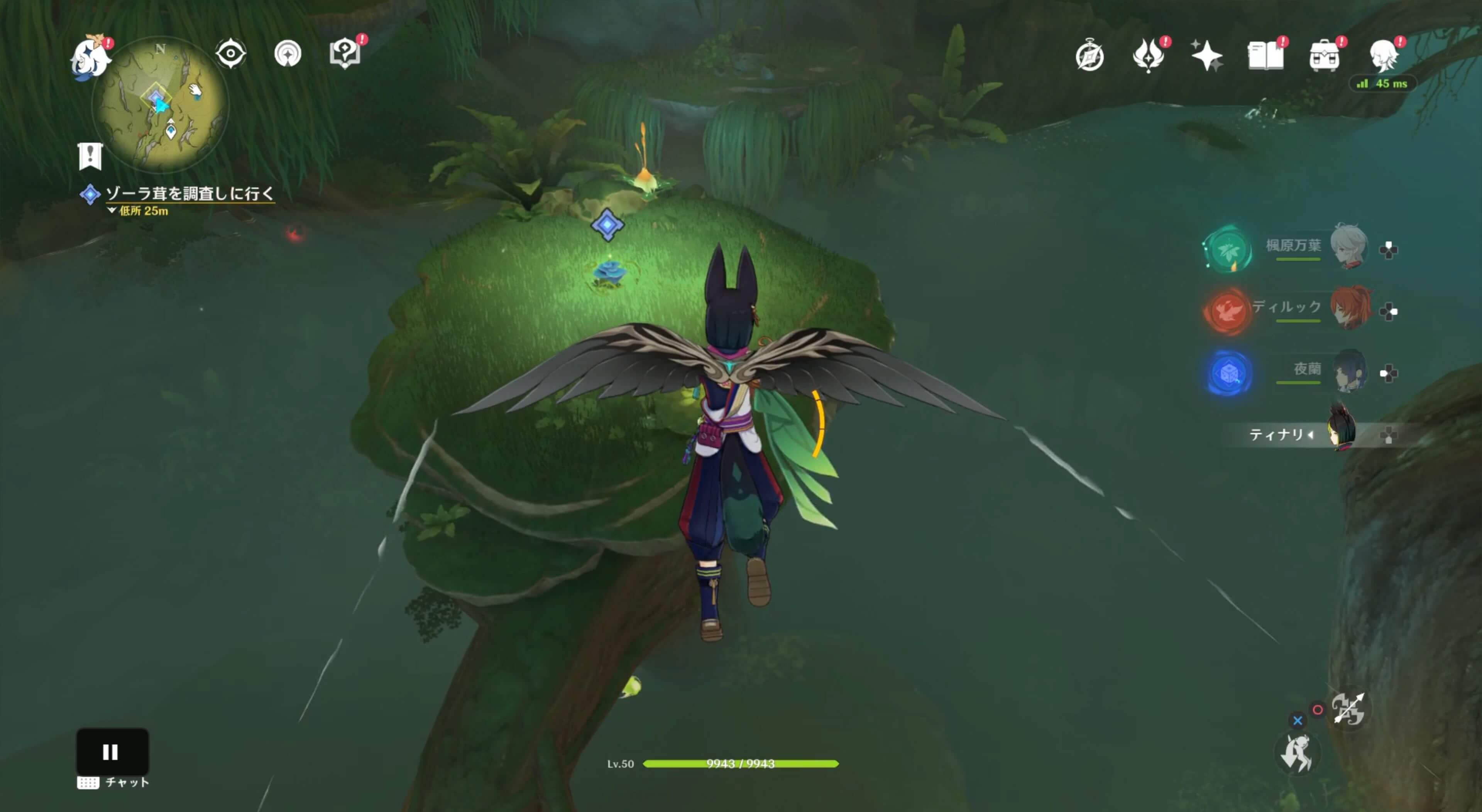 ゾーラ茸を調査する