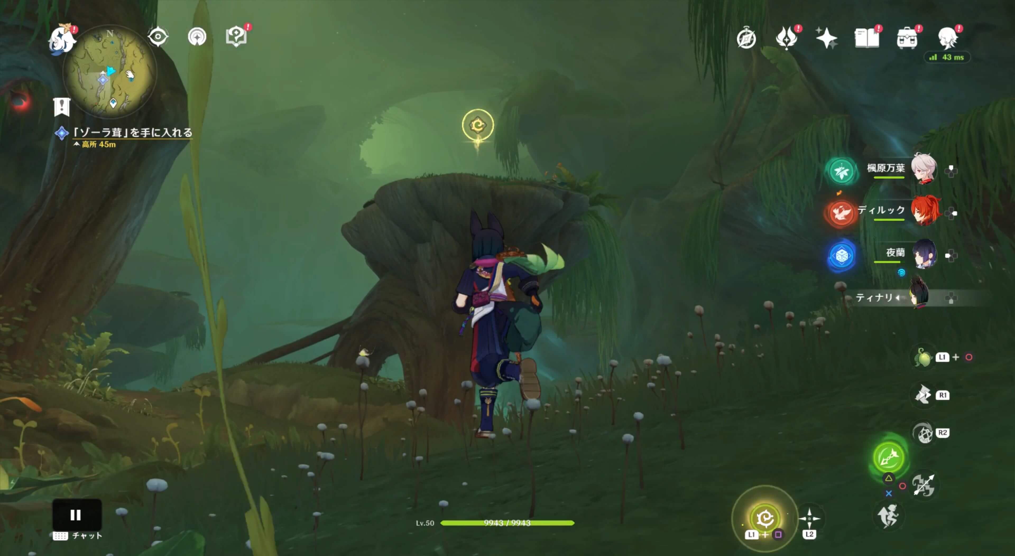 ゾーラ茸の場所に戻る