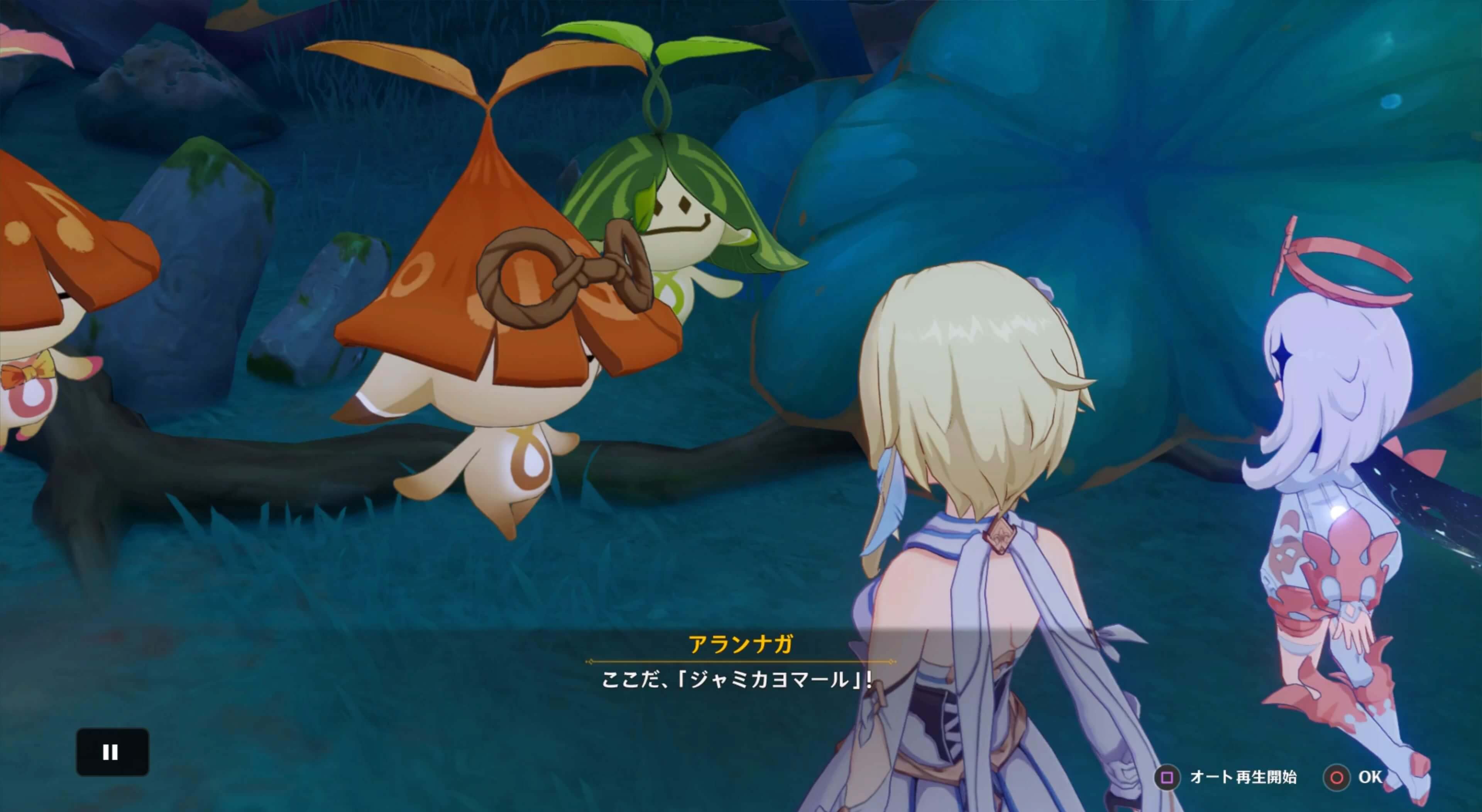 アランナガの小さな畑に戻る