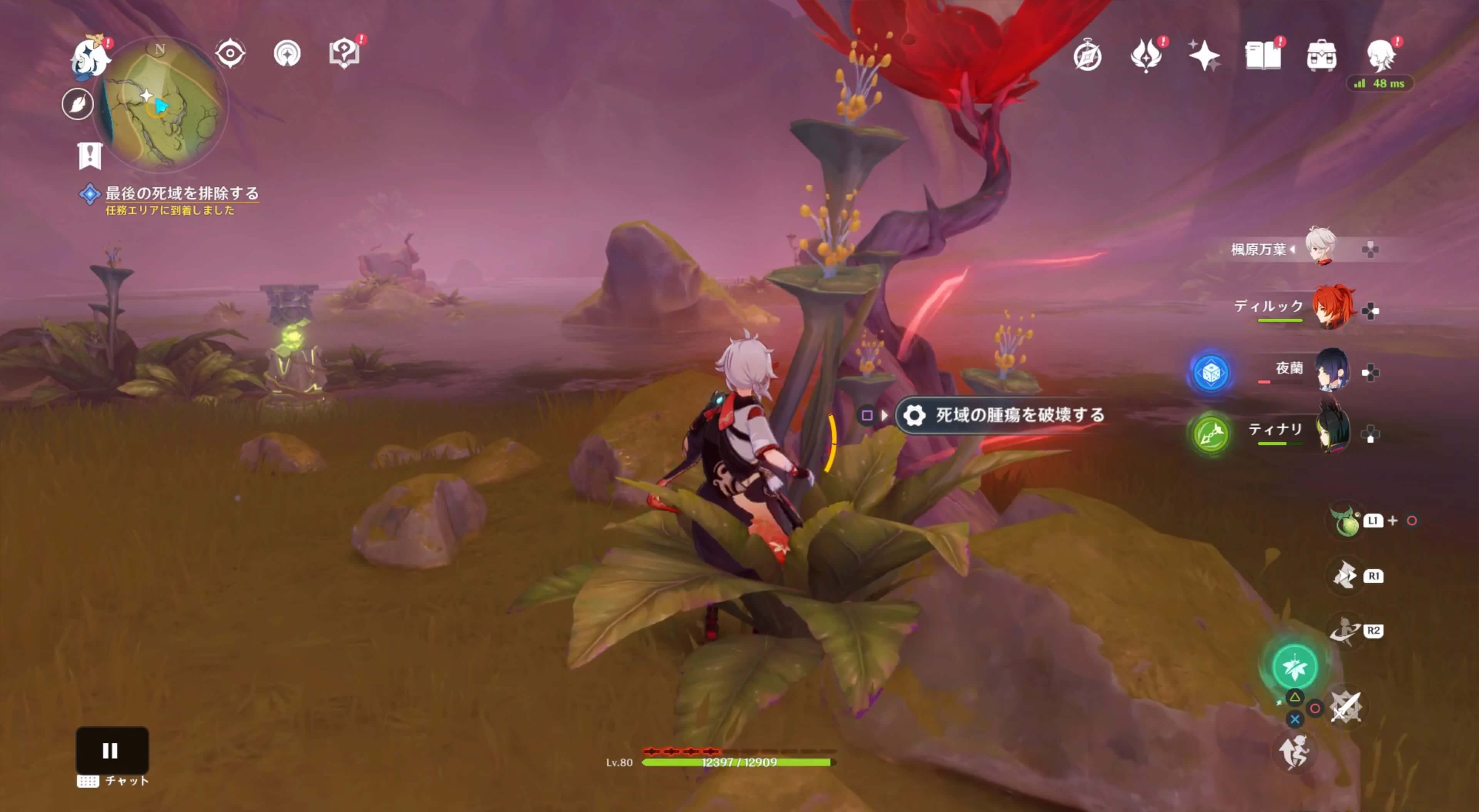 最後の死域の腫瘍を破壊する