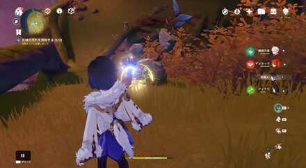 黄色のアランナラ