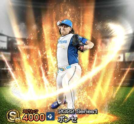 ポンセ(楽天)画像