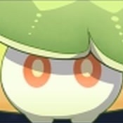 プカプカ草キノコンの画像