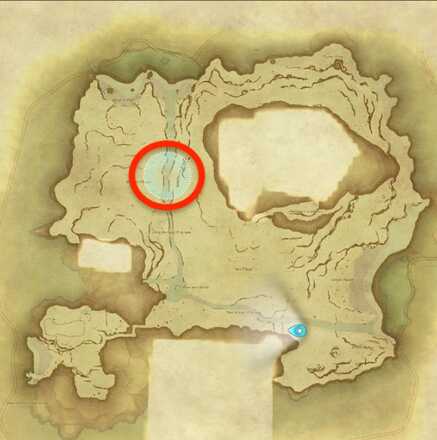 無人島のサトウキビの画像