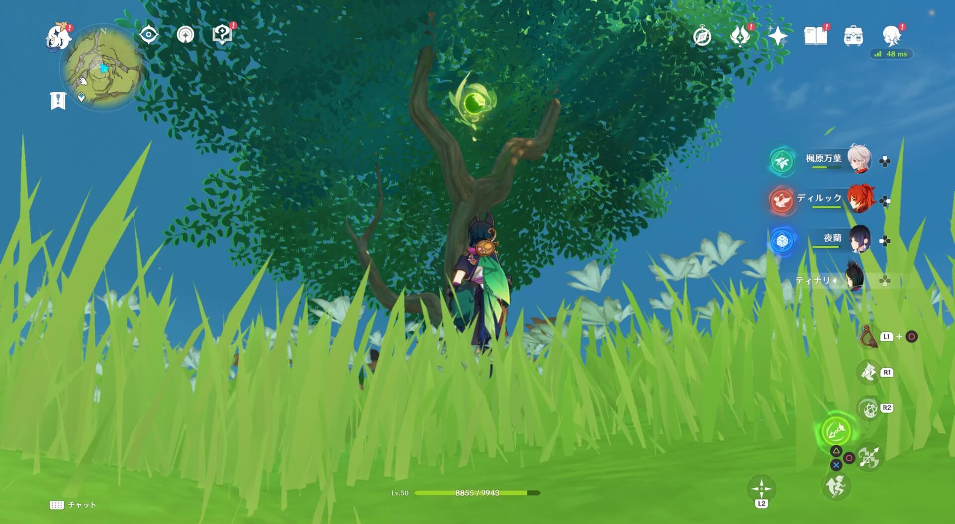 スメールで一番高い山の上にある木の上