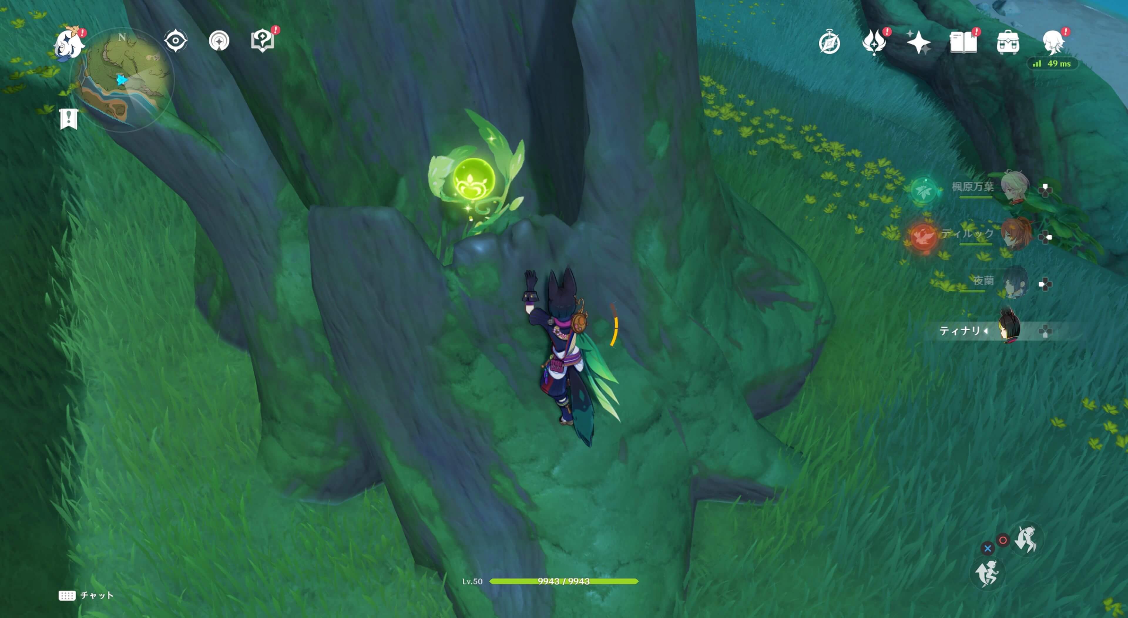 エルマイト旅団の拠点横にある木の中