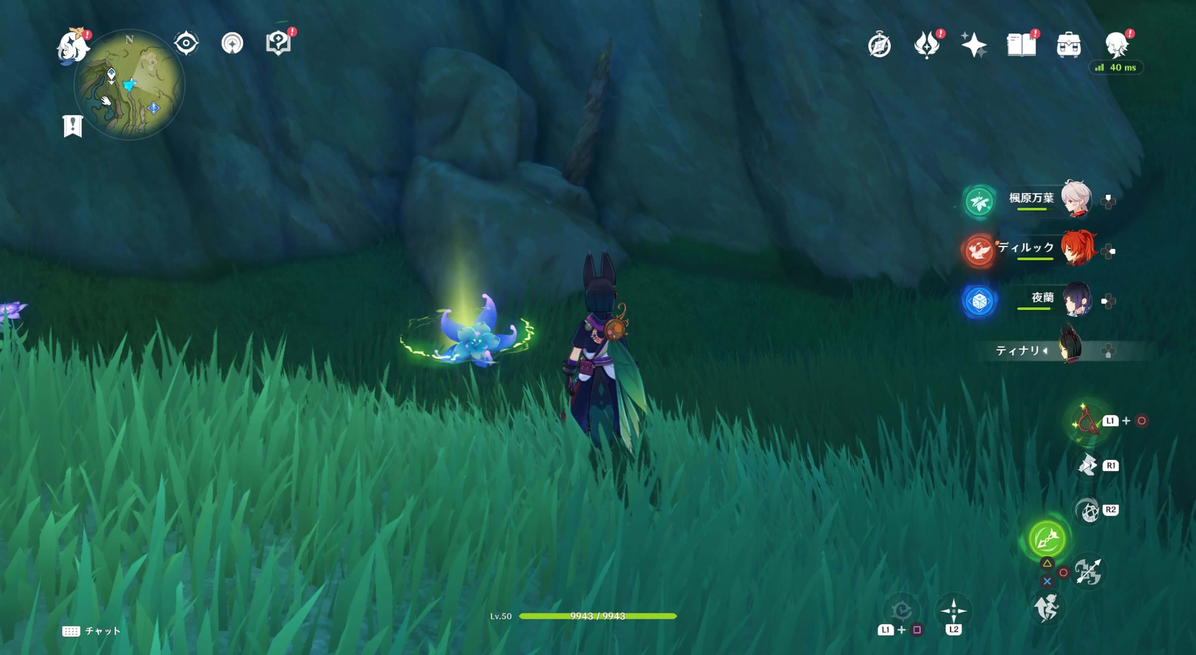 青いキノコの後ろにある岩の中