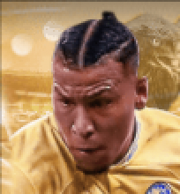 HPロヘルマルティネス(パック)画像