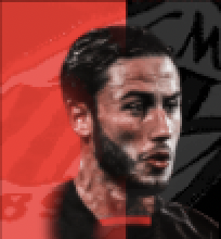 HPダヴィデカラブリア(パック)画像