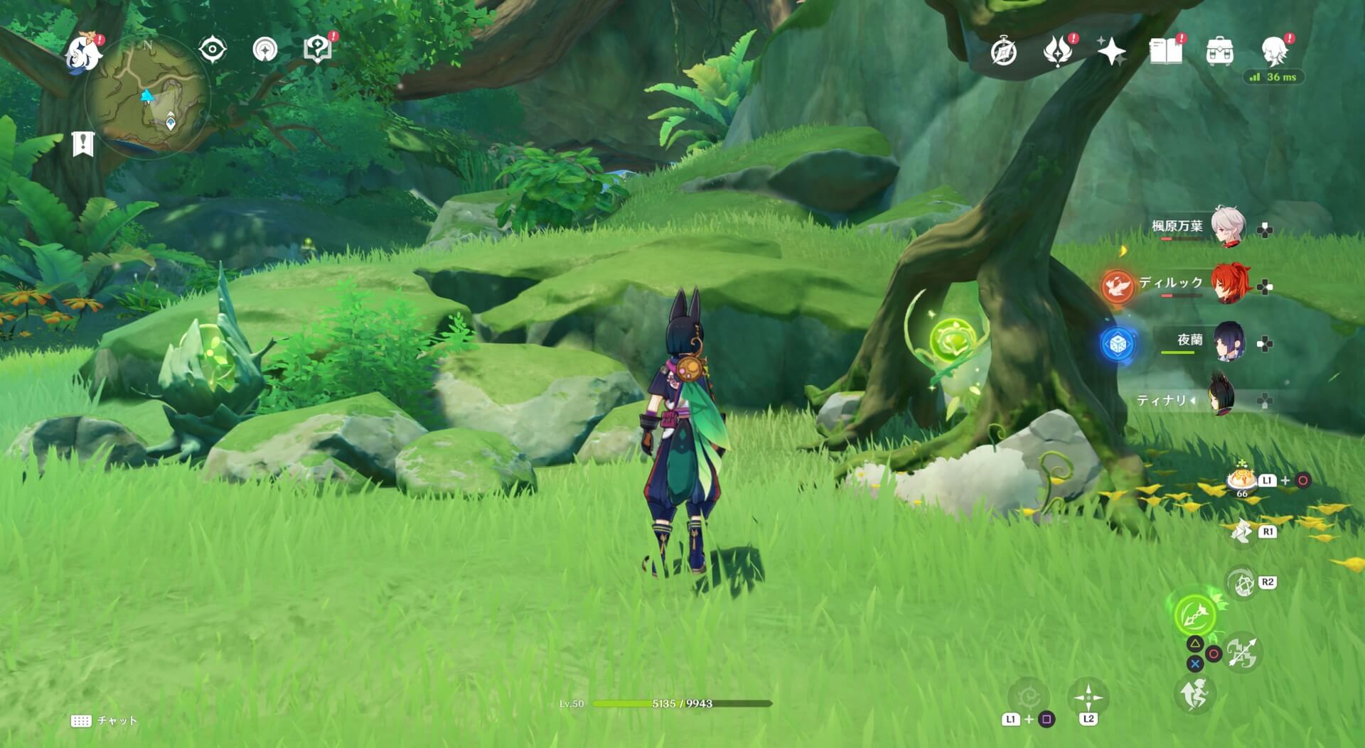 死域がある場所のツタ草の岩の下