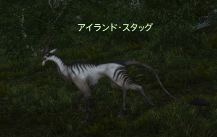 アイランド・スタッグの画像