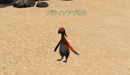 パライソアプカルの画像