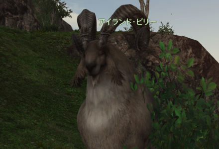 アイランド・ビリーの画像