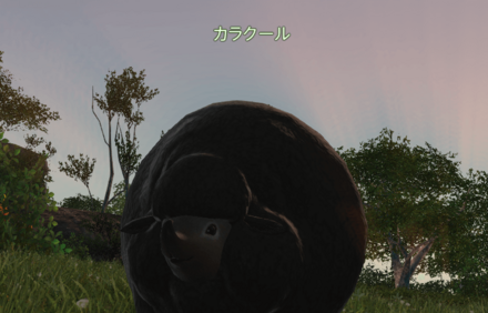 カラクールの画像