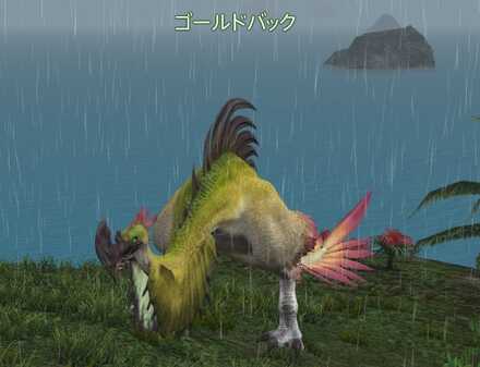 ゴールドバックの画像