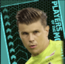 TPミッチェルランゲラック(8/25)画像