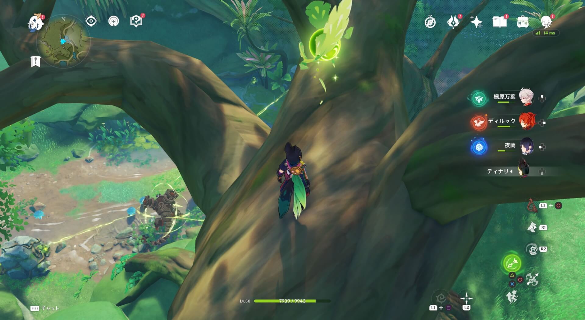 遺跡ドレイクが封印された後ろにある木の上