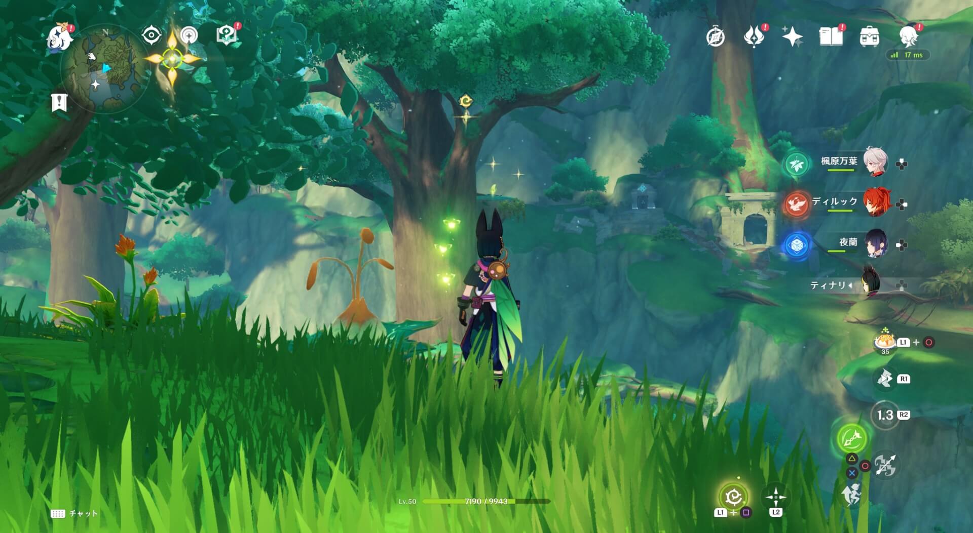 かなり高い場所に存在