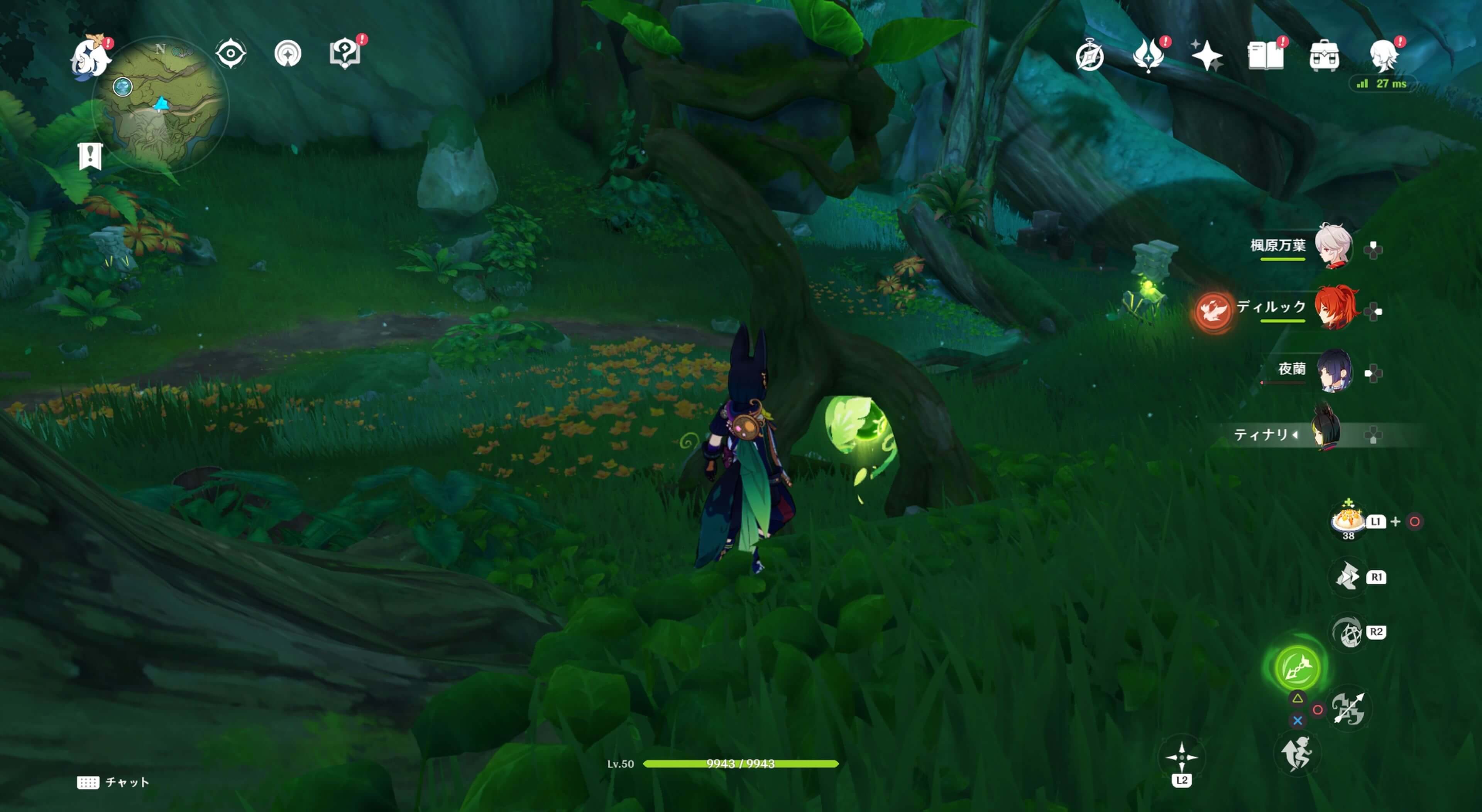 死域の中にあるツタ草の岩の中