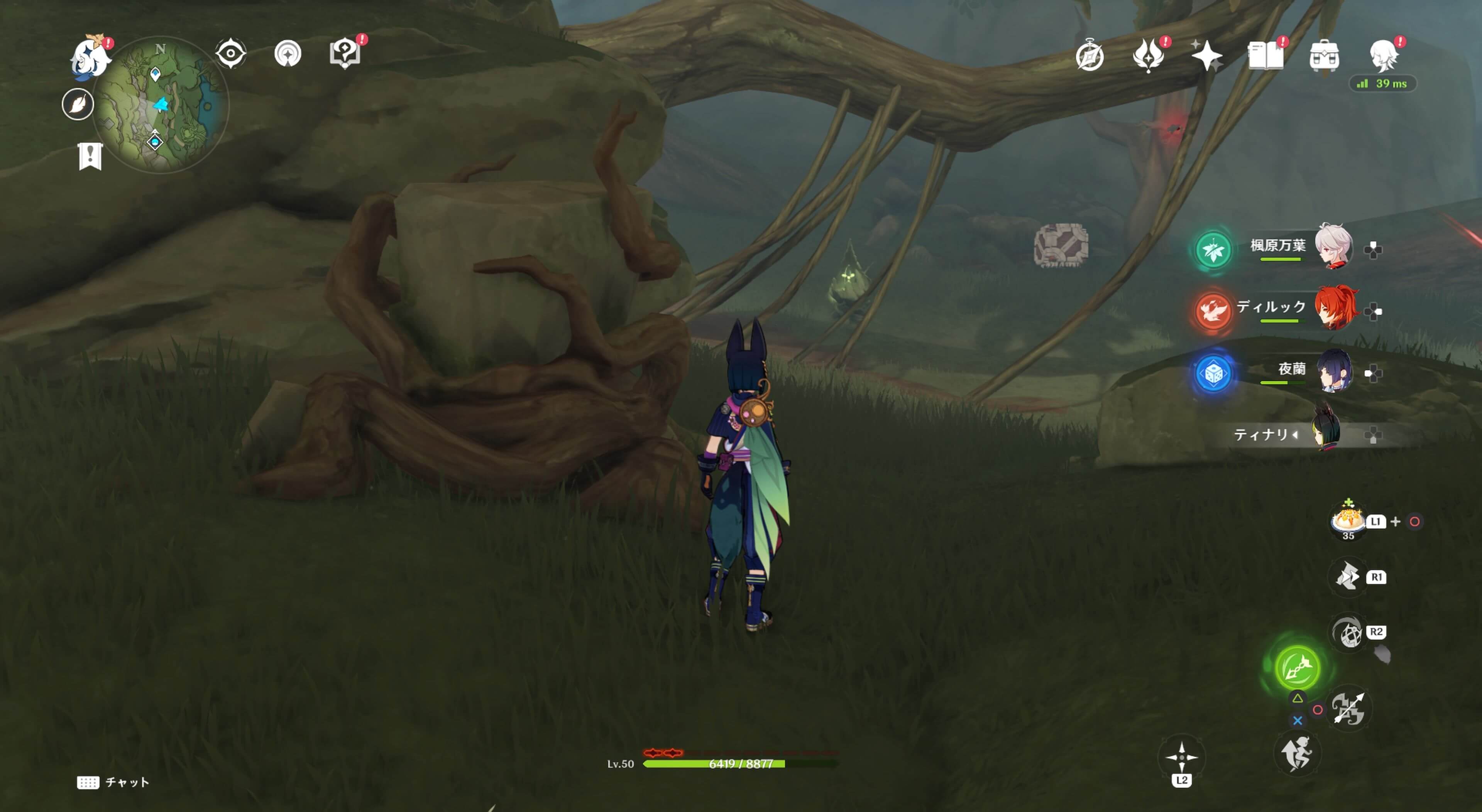 死域の中にあるツタ草の岩の中