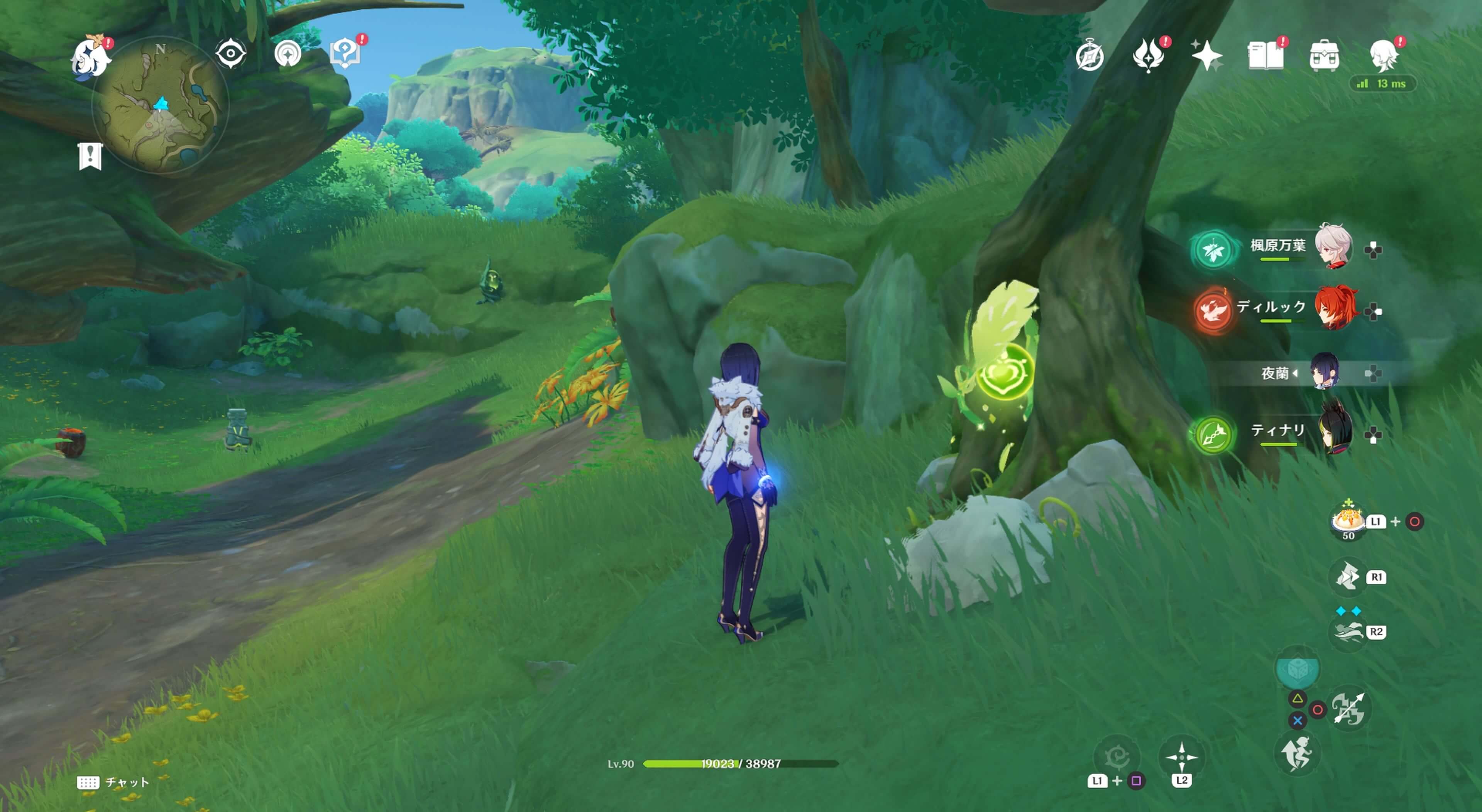 死域の中にあるツタ草の岩の中