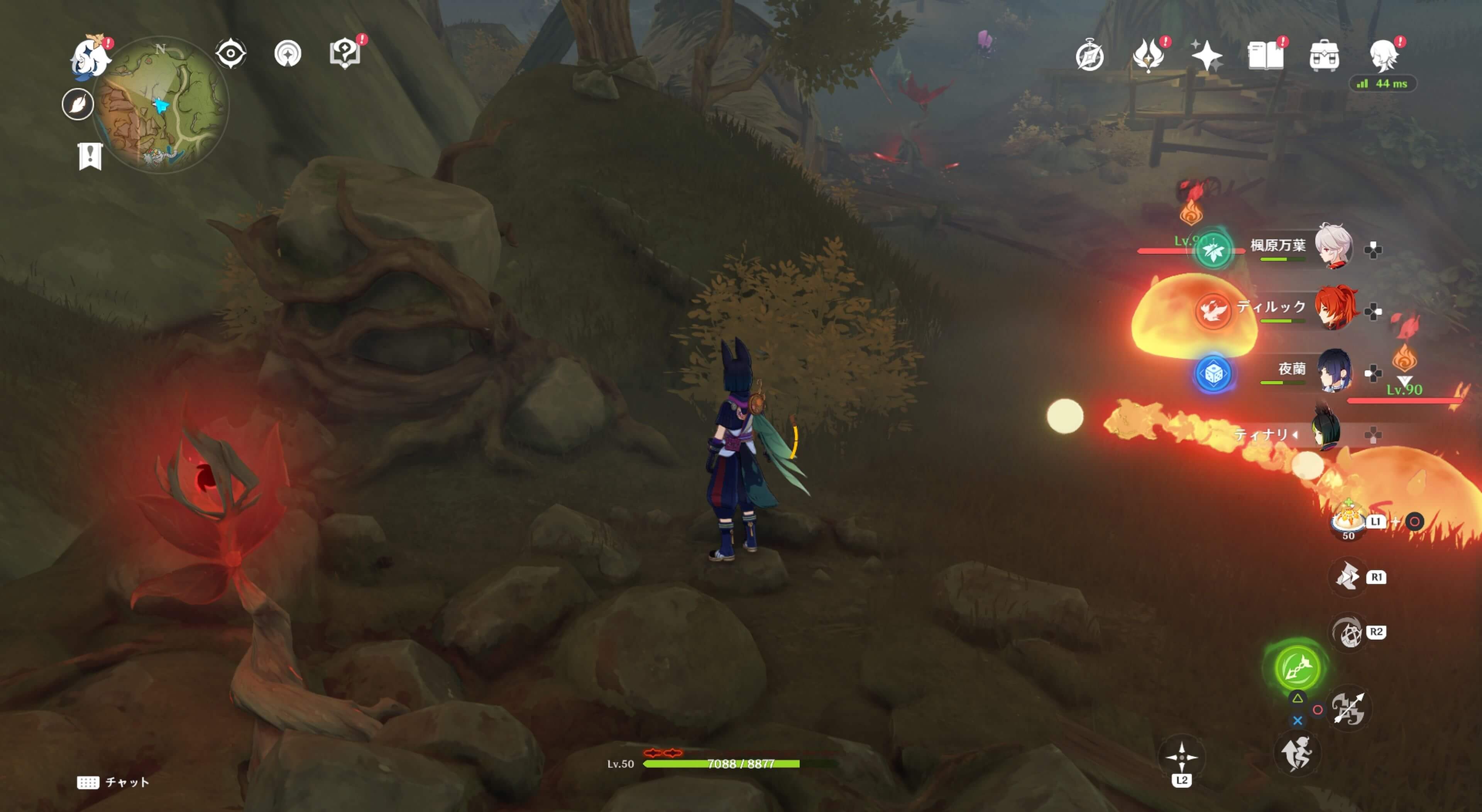 死域の中にあるツタ草の岩の中