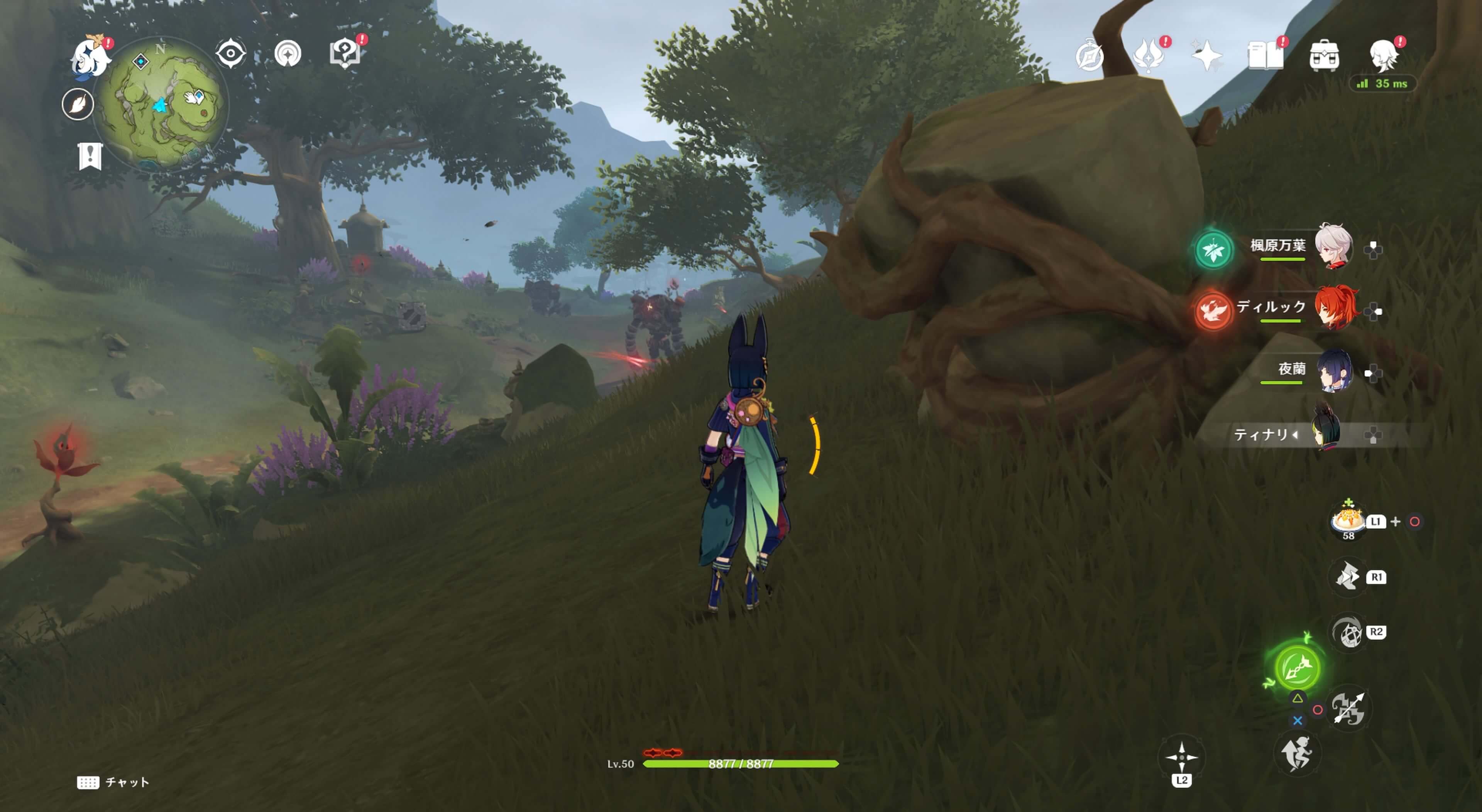 死域の中にあるツタ草の岩の中