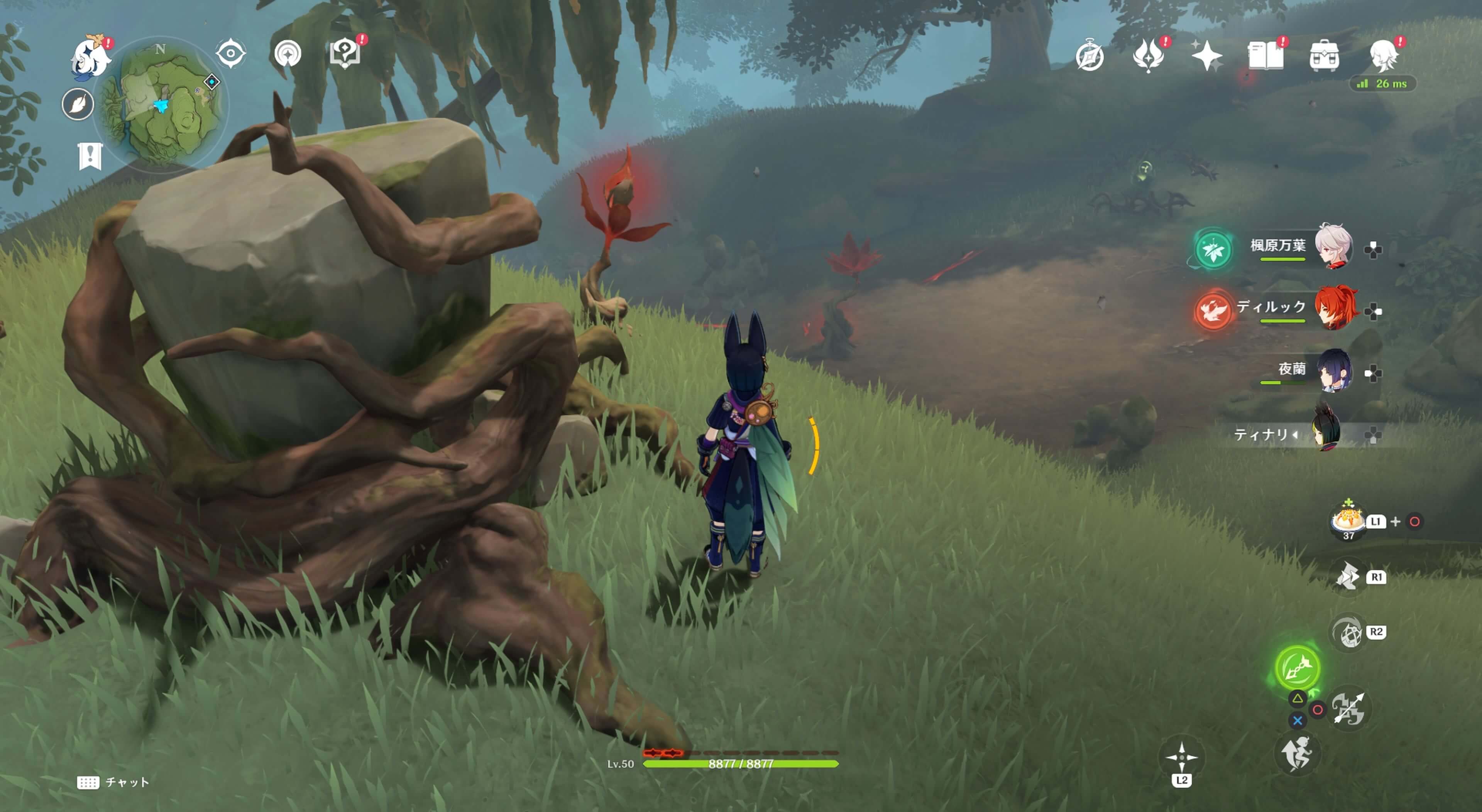 死域の中にあるツタ草の岩の中