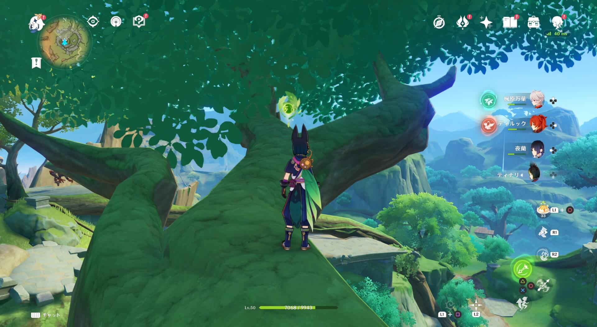 ダーリ遺跡中央の大木の上