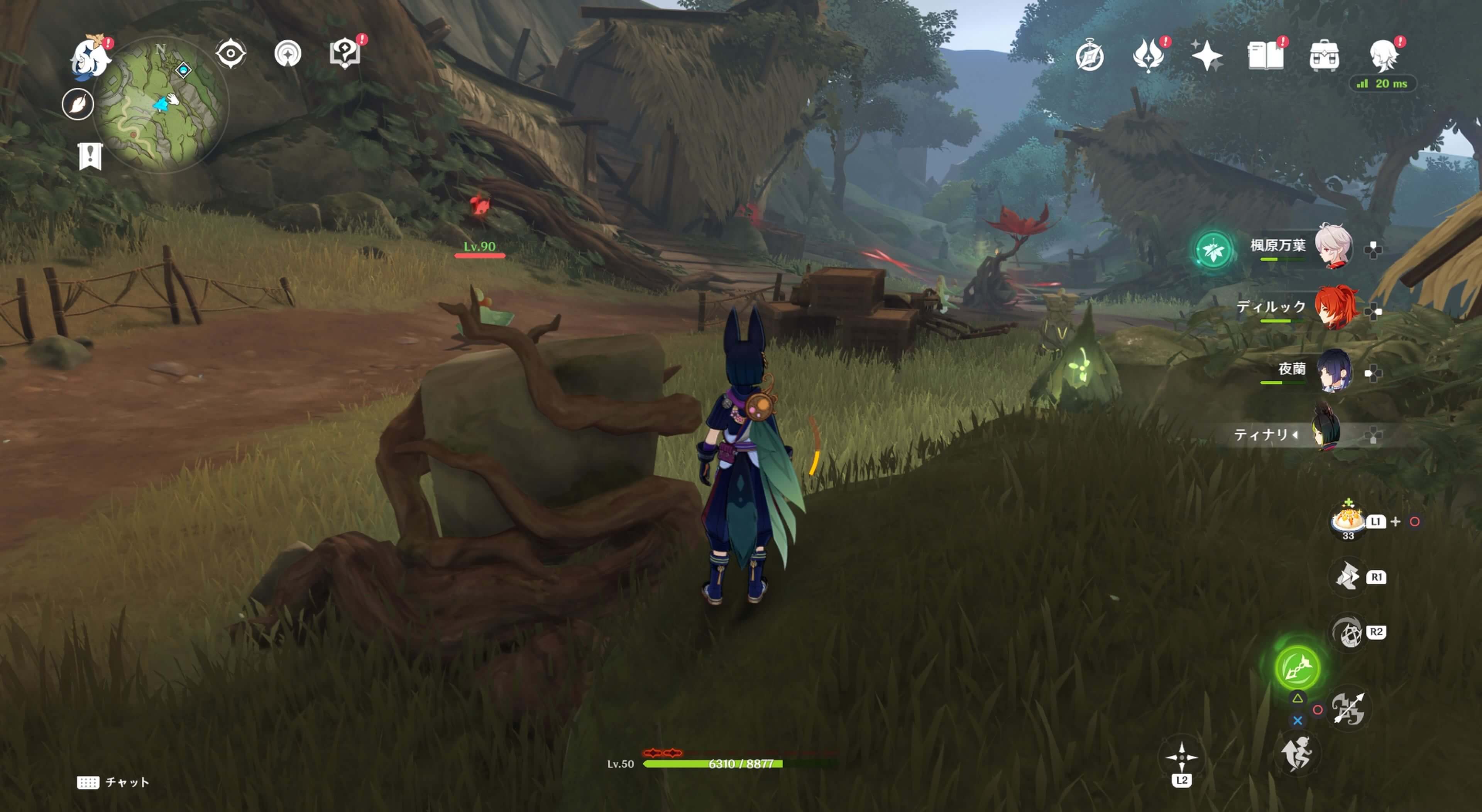 死域の中にあるツタ草の岩の中