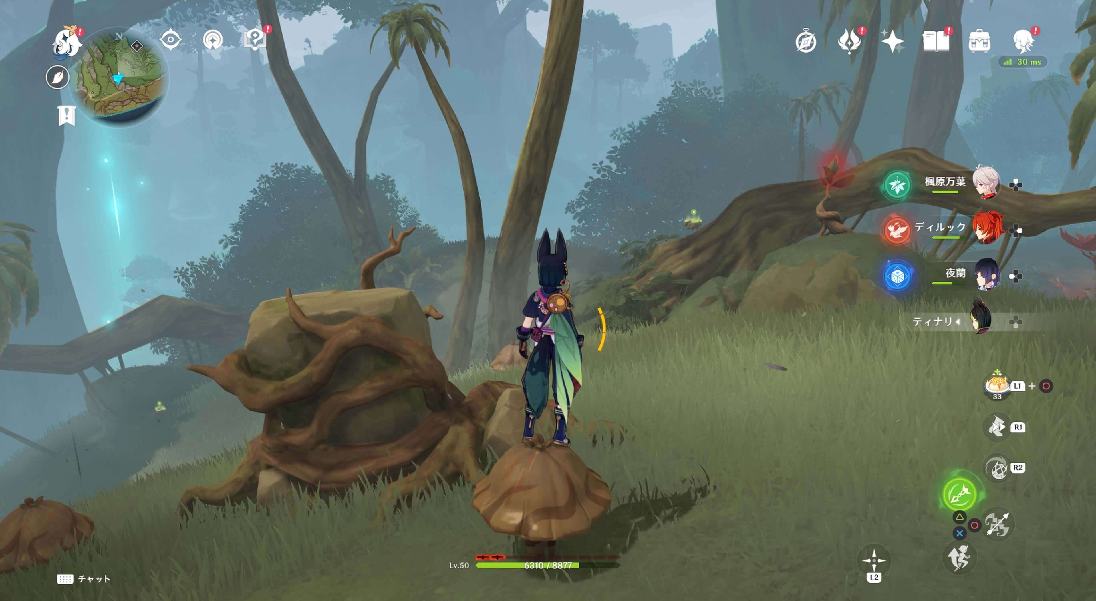 死域の中にあるツタ草の岩の中