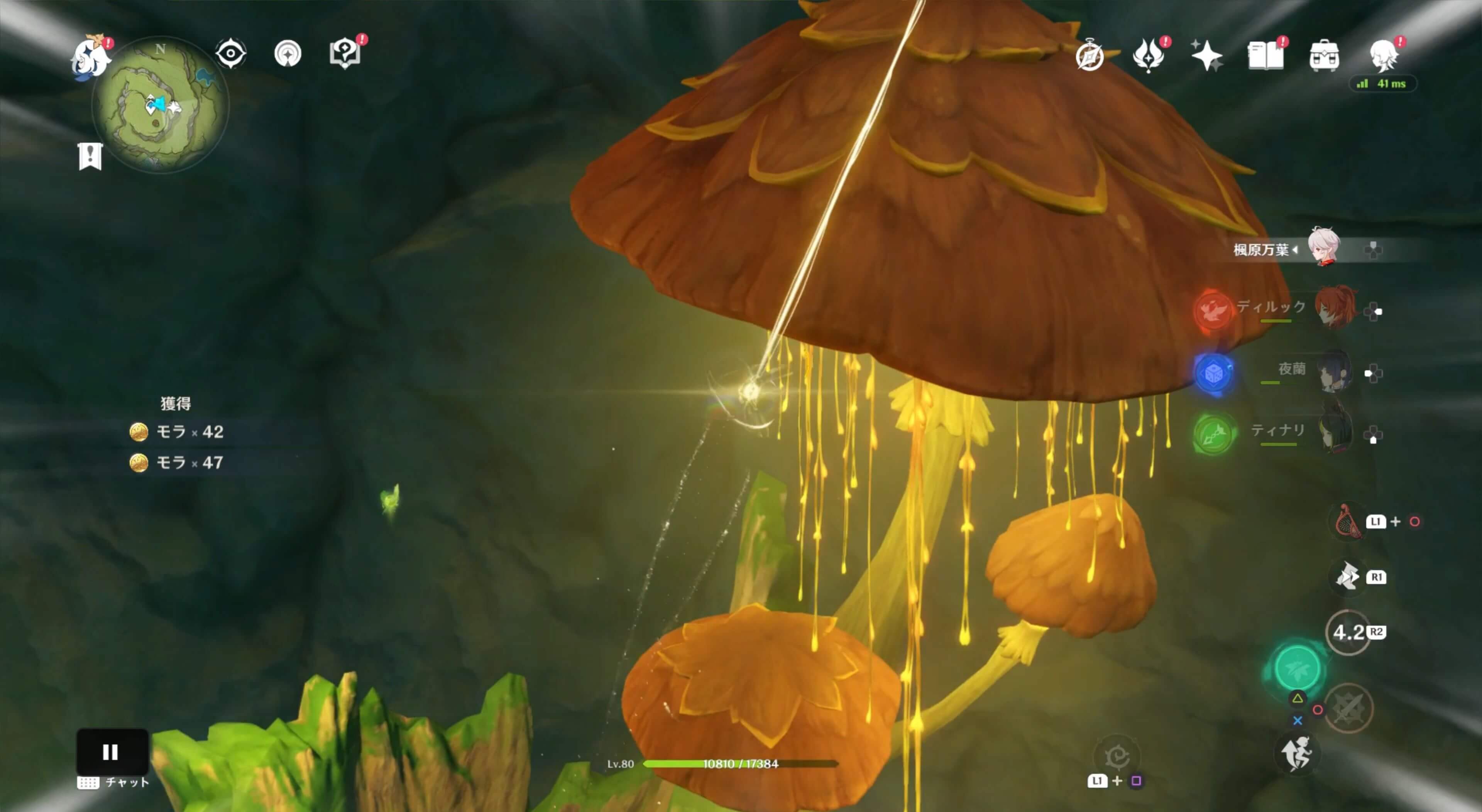 大きなキノコがある空間の一番奥に草神の瞳が存在